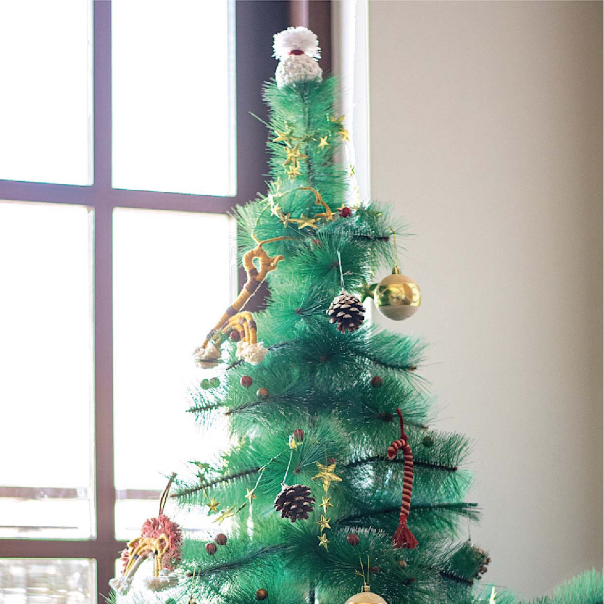 Wall Hanging - Cap Ornament