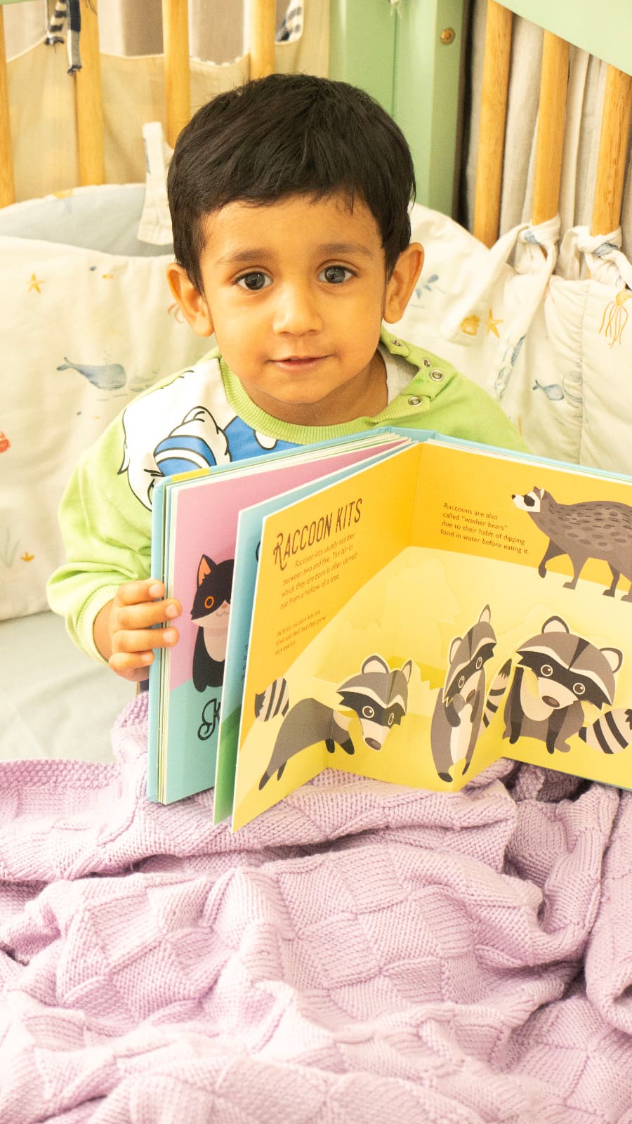 Merino Wool Blanket - Pink